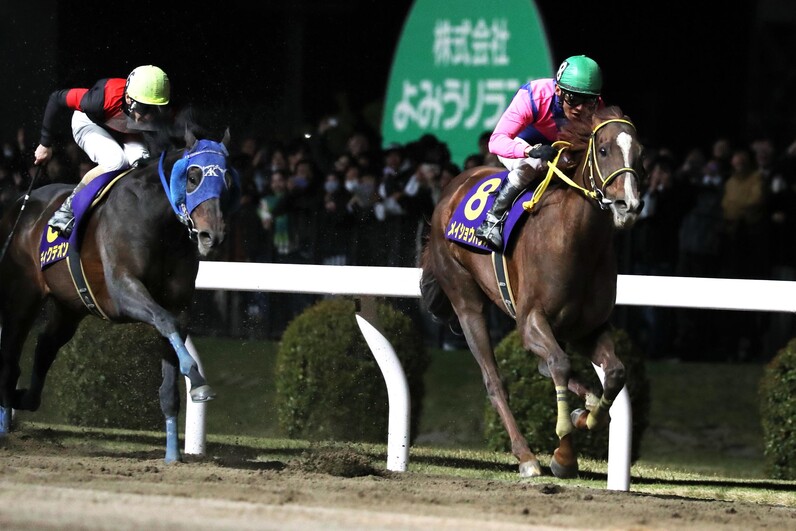 川崎記念】「頭が下がる思い」8歳馬の衰えぬ精神力、豪快捲りで 川崎記念】「頭が下がる思い」8歳馬の衰えぬ精神力、豪快捲りで