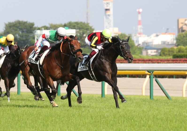 ダービーの結果を受けて菊花賞に思いを巡らす スポーツナビ