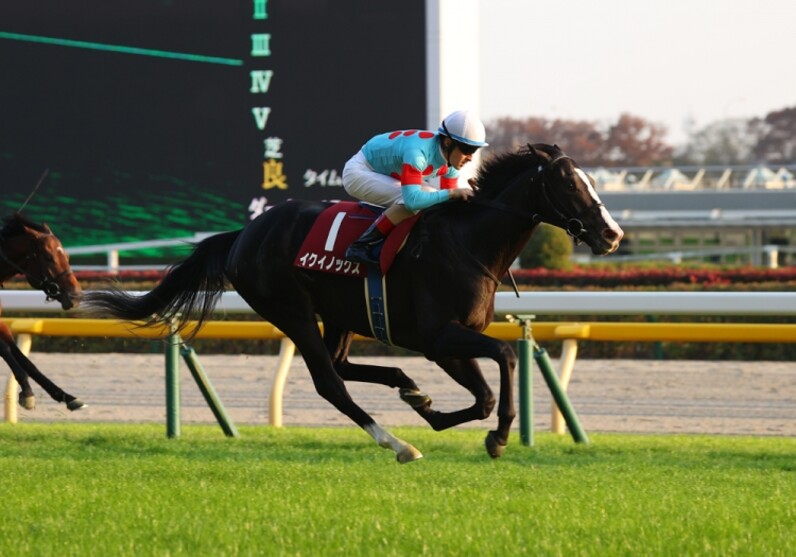 新馬戦で１秒差以上の圧勝を飾った馬の次走を分析する - スポーツナビ