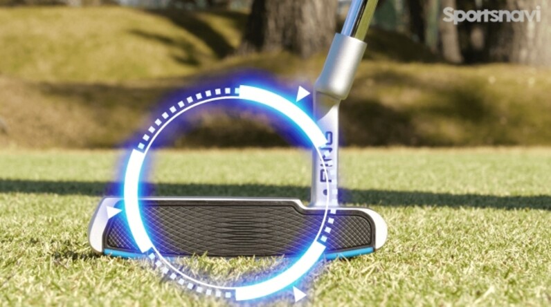 コレを買っておけば間違いない！PING「Sigma 2 Anser Platinum