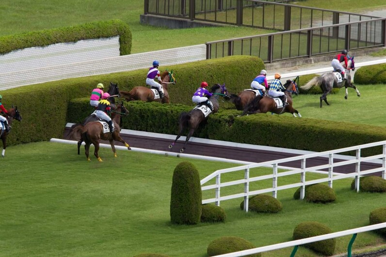 競馬AIが小倉サマージャンプを大予想 厳選ワイド3点＆3連複10点で勝負！ - スポーツナビ