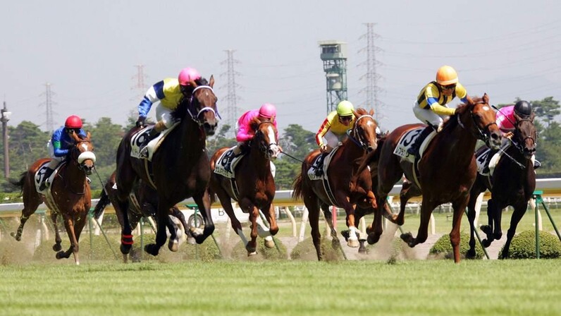 【非売品】ロードクエスト 新潟2歳ステークス 勝利記念ジャージ ウマ娘 L 競馬 2015 新潟2歳ステークス (GIII) ロードクエスト - YouTube