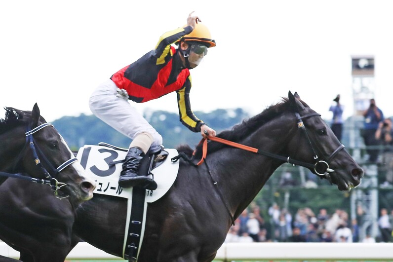 クロワデュノール 日本ダービー セット 日本ダービー・2週前】クロワデュノールが巻き返しへ好気配 北村
