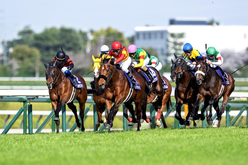大阪杯】“阪神の王”が君臨、ベラジオオペラ＆横山和騎手「プラン