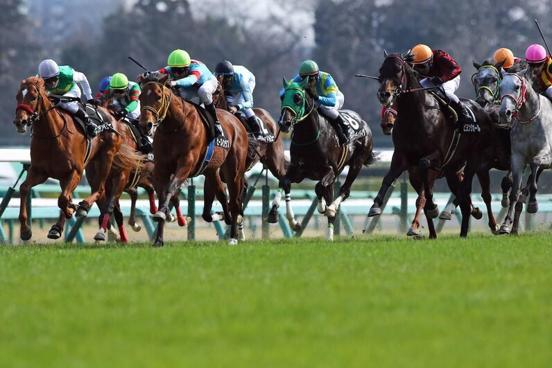 競馬aiがシンザン記念を大予想 厳選ワイド3点 3連複10点で勝負 スポーツナビ