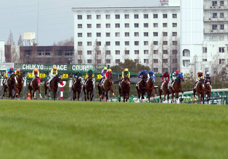 競馬aiが愛知杯を大予想 厳選ワイド3点 3連複10点で勝負 スポーツナビ