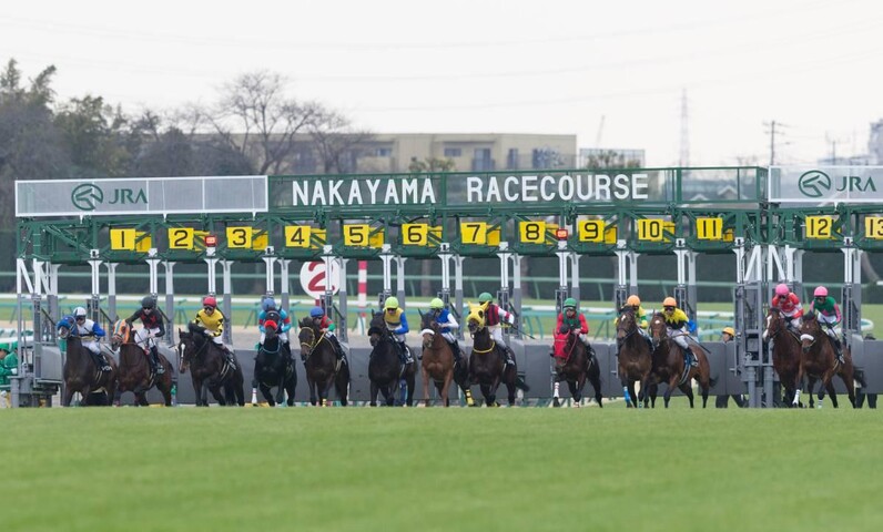 東西金杯で狙うダブル万馬券、競馬予想AIがでっかいお年玉をお