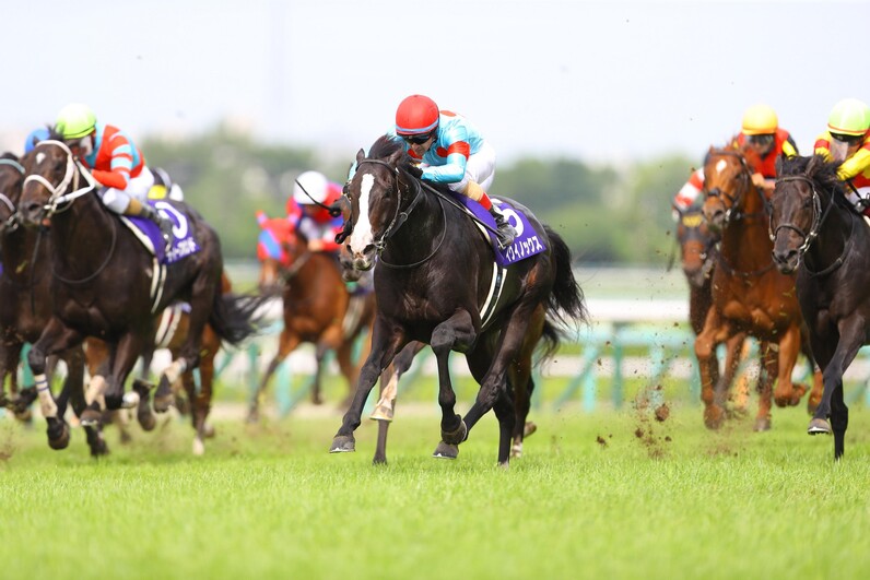 イクイノックス　鬣　たてがみ　宝塚記念　2022 C・ルメール騎手　直筆サイン イクイノックスが優勝 競馬の宝塚記念（写真・画像 1/1） - 産経