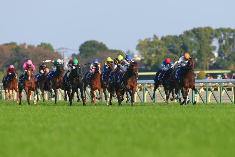 5週連続的中の予想ai 天皇賞 秋も穴で勝負 展開も向く人気の盲点馬が波乱を呼ぶ スポーツナビ