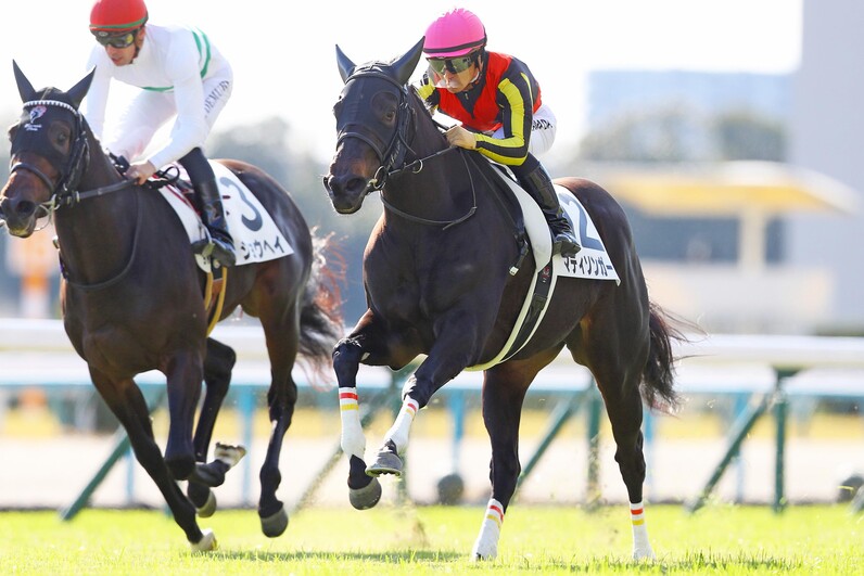 まねき馬 No.2428リバティアイランド追悼SP まねき馬 No.2428リバティアイランド追悼SP まねき馬 2428