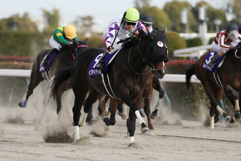 フェブラリーS】153万馬券を呼ぶ激走、殊勲の藤岡佑が明かす11番人気