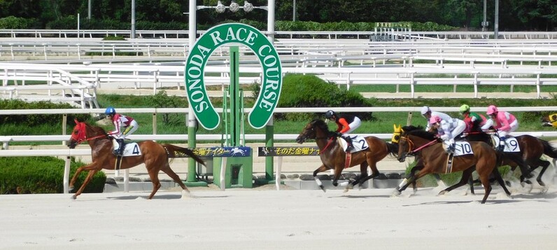 今夏飛躍の古川奈穂、初ファイナル進出へ勝負の2鞍 2023ヤングジョッキーズシリーズTR園田展望 - スポーツナビ