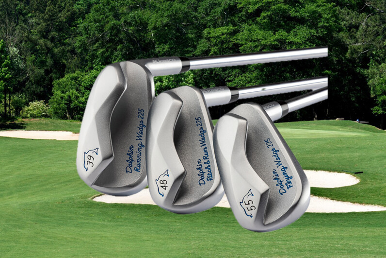 キャスコ ドルフィンウェッジ 225 48° レディース超美品 Dolphin Wedge レディース キャスコ ドルフィン ウエッジ DW-118