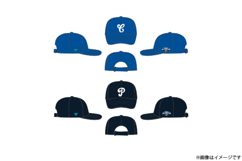 ポ*タ様 2025プロ野球オールスターゲーム NPB公式 実使用ボール レクザム フレッシュオールスターゲーム2025 使用済み試合球