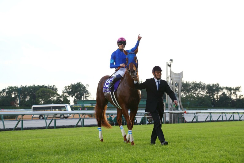 クロフネシルエット刺繍入り チャンピオンズキャップ 競馬 JRA レモンポップ チャンピオンズC】1番人気レモンポップ、ラストランを逃げ切り
