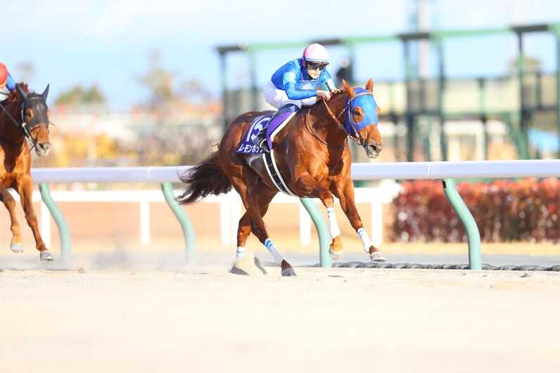 クロフネシルエット刺繍入り チャンピオンズキャップ 競馬 JRA レモンポップ チャンピオンズC】大接戦を制したレモンポップが有終の美を飾る