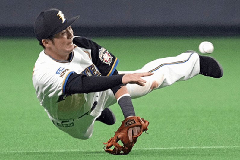 77番目からの下剋上。 北海道日本ハムファイターズ 内野手 上川畑 大悟