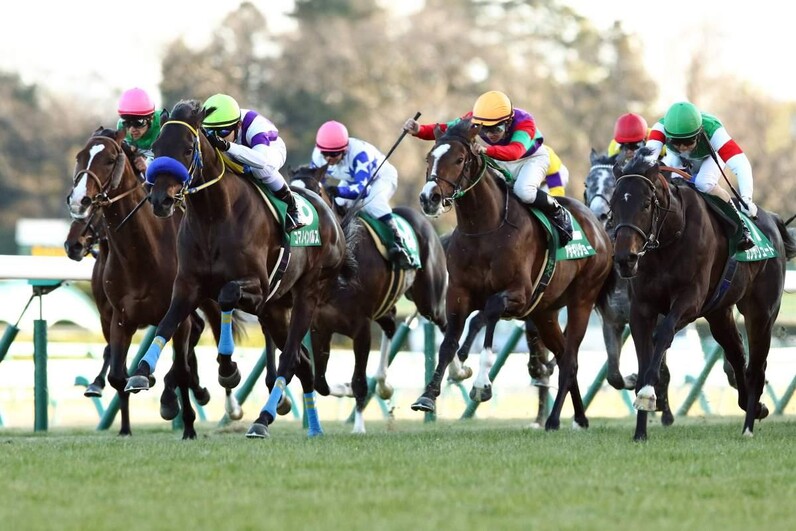 GI馬続々参戦のセントウルS、京成杯AHを競馬AIが大予想 厳選ワイド3点＆3連複10点で勝負！ - スポーツナビ