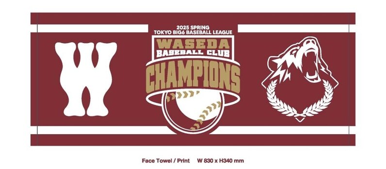 早稲田大学野球部優勝記念Tシャツ（2024春） 早稲田大学野球部優勝記念Tシャツ（2024春） Amazon.co.jp