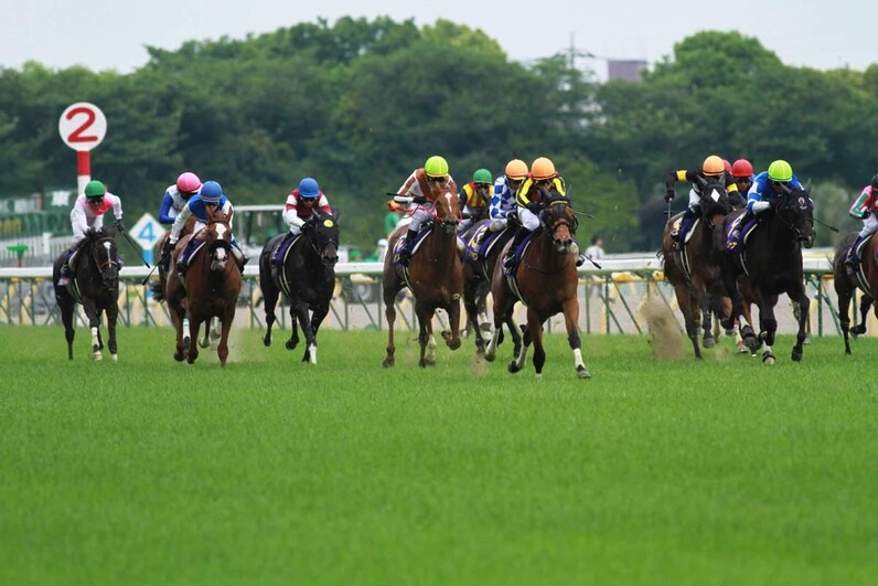 ダービー後の目黒記念はこれで勝つ！ 競馬AI激推しの3連複＆ワイドお宝馬券 - スポーツナビ