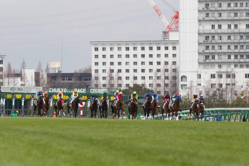 競馬AIが中京記念を大予想 厳選ワイド3点＆3連複10点で勝負！ - スポーツナビ