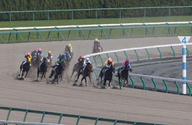 武豊がGI馬ドゥラエレーデと初コンビ！ 競馬AIがエルムS、レパードSを3連複＆ワイドで大予想！ - スポーツナビ