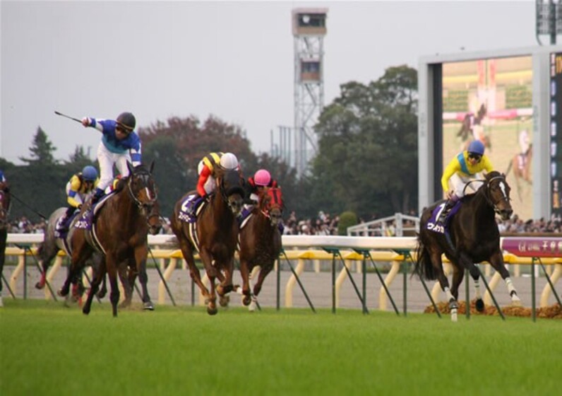 8歳カンパニー悲願GI! ウオッカ連覇ならず=天皇賞・秋 8歳カンパニー悲願GI! ウオッカ連覇ならず=天皇賞・秋