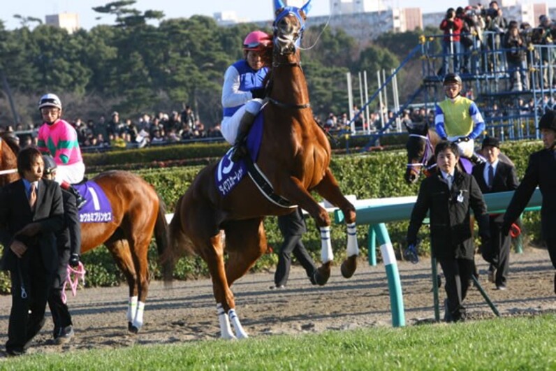 ダイワスカーレット圧逃Ｖ！ ３７年ぶりの牝馬制覇=有馬記念