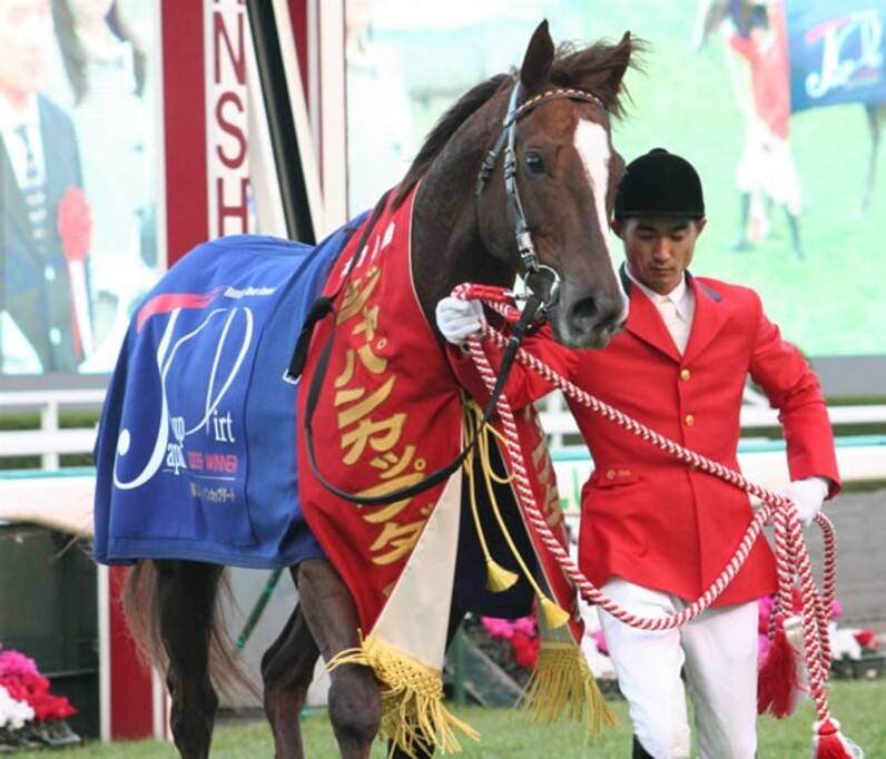 エスポワールシチー砂の新王者に! 止まらんＧI３連勝だ=ＪＣダート - スポーツナビ