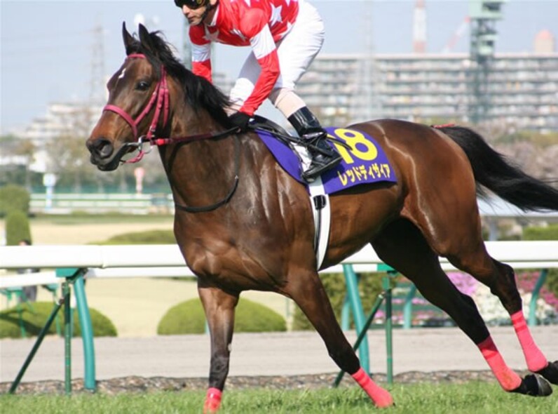 ブエナビスタ、史上３頭目「牝馬三冠」へ躍動！=秋華賞 展望 - スポーツナビ