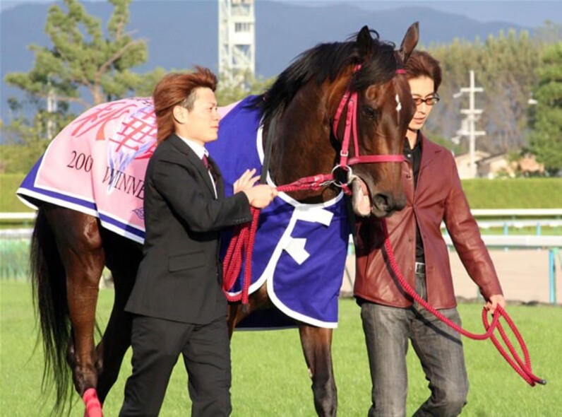 秋華賞馬レッドディザイア❗️現地的中単勝馬券 1200px-Red_Desire_20090524P1.jpg