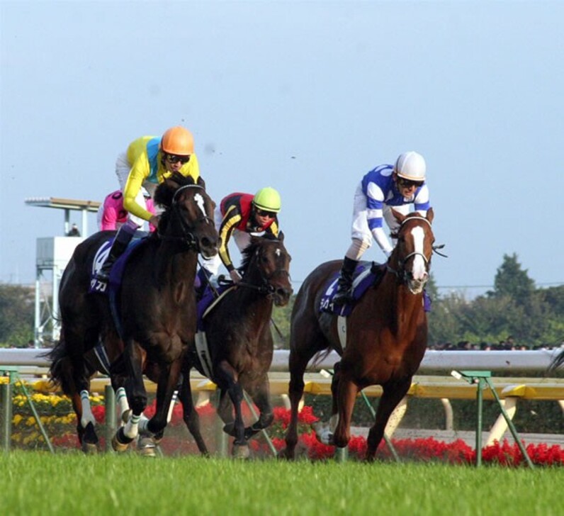 Amazon.co.jp: 第138回 天皇賞秋 GⅠ 優勝 ウオッカ 額入り優勝
