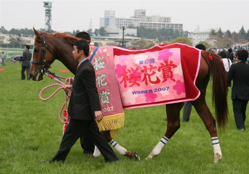 ダイワスカーレット、逆転で桜の女王に＝安藤勝は連覇＆ＪＲＡ通算７００勝メモリアルＶ - スポーツナビ