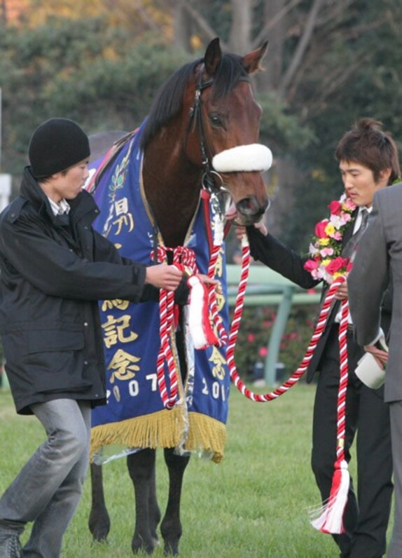 蛯名も「ビックリ!」 大穴マツリダゴッホが激走Ｖ=有馬記念 - スポーツナビ