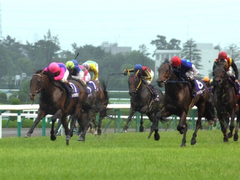 アドマイヤムーン、雨を切り裂く豪脚! 国内ＧI初制覇だ=宝塚記念