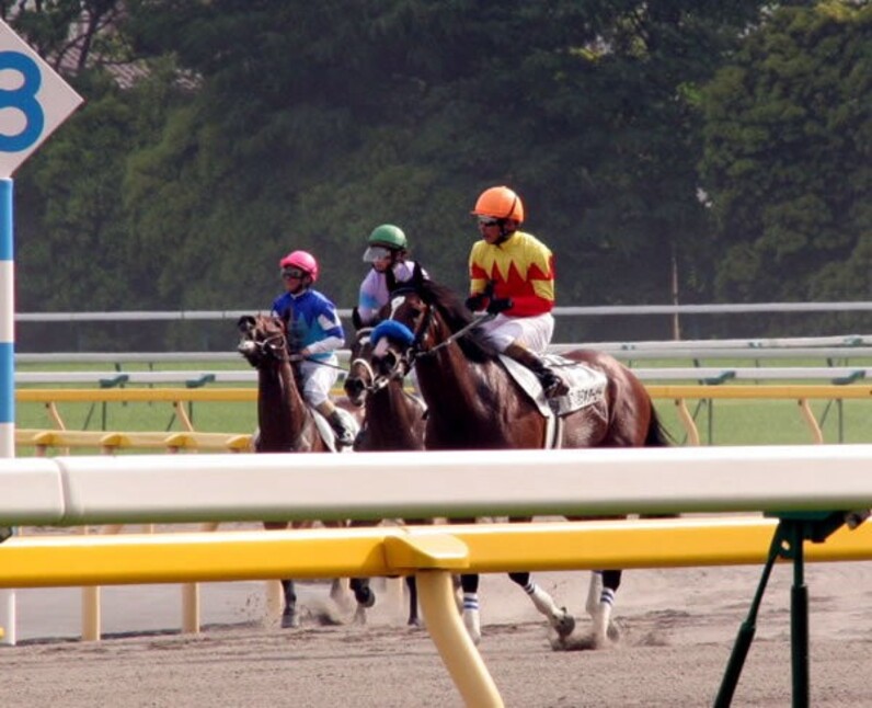 ウオッカ、歴史的勝利! 64年ぶり牝馬ダービー制覇だ=競馬
