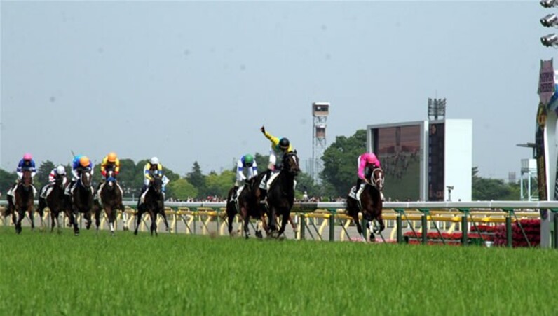 ウオッカ、歴史的勝利! 64年ぶり牝馬ダービー制覇だ=競馬＝「歴史に残る馬」四位が殊勲のエスコート - スポーツナビ