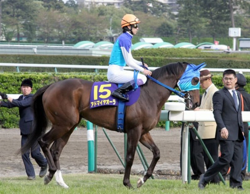 2006年　日本ダービー　全18頭現地単勝　新旧馬券　メイショウサムソン JRAホームページ｜データファイル｜競走成績データ