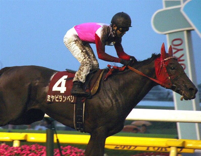 ブエナビスタ、49年ぶり3歳牝馬V狙う=有馬記念 展望 - スポーツナビ