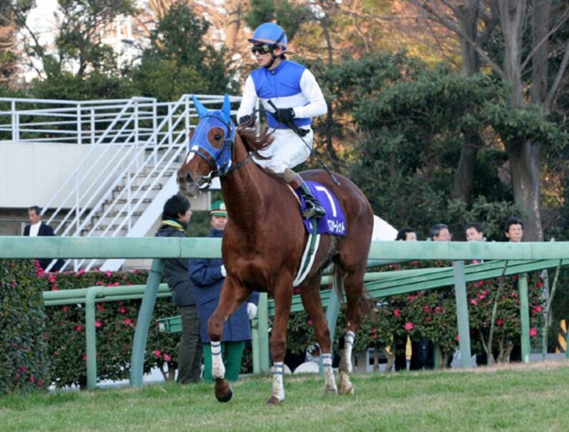 蛯名も「ビックリ!」 大穴マツリダゴッホが激走V=有馬記念